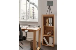 Aktenregal 40x121cm 'Office' Wildeiche geölt