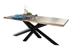 Esstisch 200x100cm 
