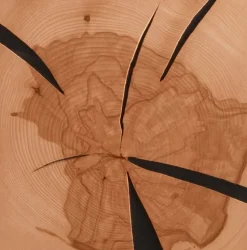 TV Board 178cm 'Danzig' Kernbuche geölt