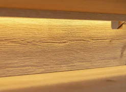 TV Element 200cm 'Triest' Wildeiche massiv Glas