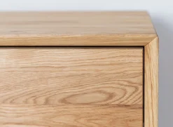 TV Element 200x50cm 'Jannik' Wildeiche massiv 2 Türen 1x Holz / 1x Glas