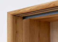 TV Element 200x50cm 'Jannik' Wildeiche massiv 2 Türen 1x Holz / 1x Glas