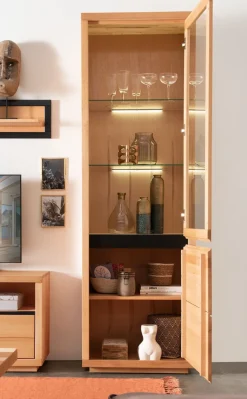 Vitrine 65x205cm