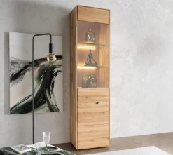 Vitrine 51x200cm