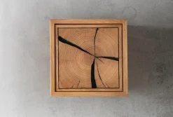 Wandregal mit Holztür 34x34cm 'Danzig II' Wildeiche massiv